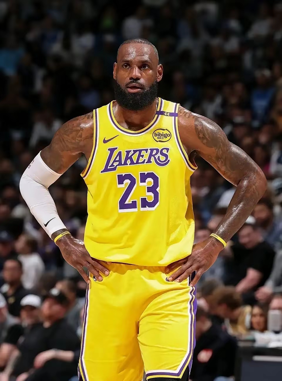 国际比赛日意甲焦点战，洛杉矶湖人迎来里程碑，媒体盛赞，年轻球员得到机会的简单介绍