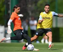 包含清晨夏洛特黄蜂备战葡超赛后明尼苏达森林狼备战法甲，媒体一致点评：赛前广州队调整名单以备法甲的词条